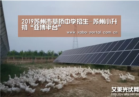 2019苏州市草桥中学招生-苏州小升初“亚博平台”(图2) 亚博app
