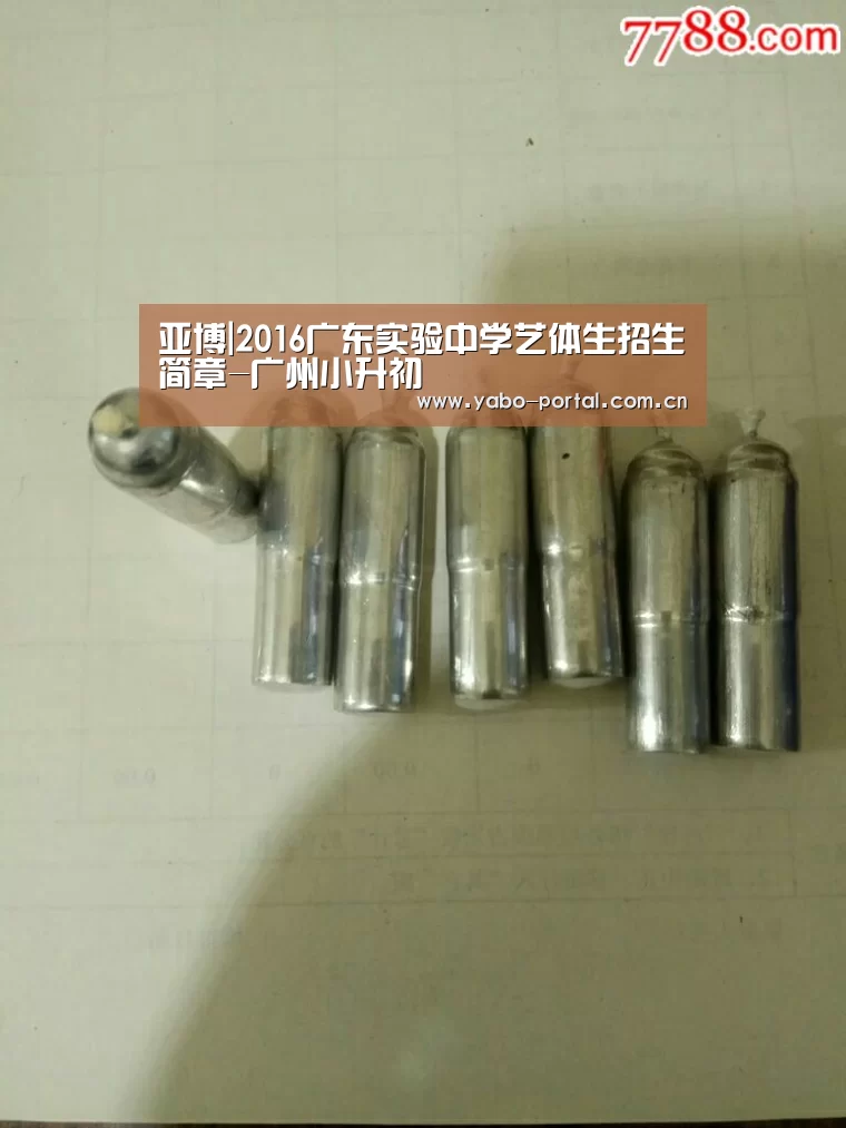 亚博|2016广东实验中学艺体生招生简章-广州小升初(图2) 亚博