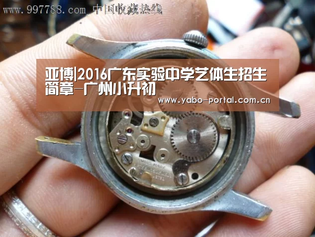 亚博|2016广东实验中学艺体生招生简章-广州小升初