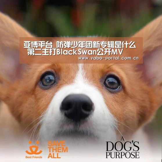 亚博平台_防弹少年团新专辑是什么 第二主打BlackSwan公开MV(图2) 亚博体育