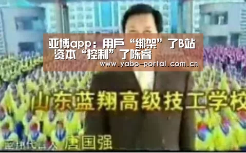 亚博app:用户“绑架”了B站 资本“控制”了陈睿(图3) 亚博app