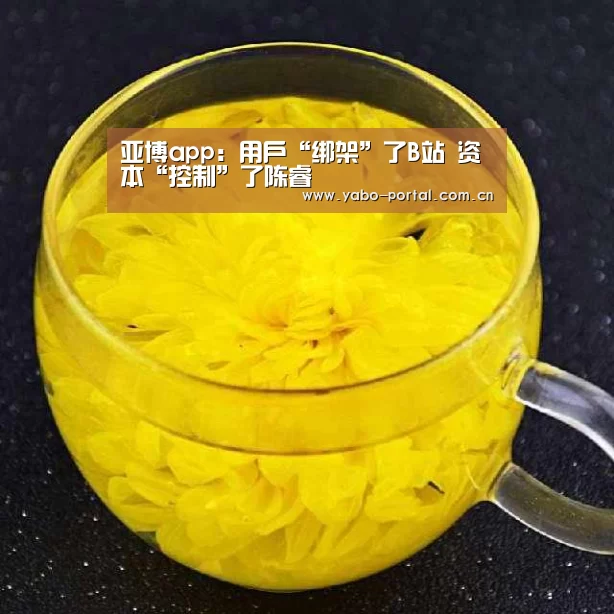 亚博app:用户“绑架”了B站 资本“控制”了陈睿(图2) 亚博体育
