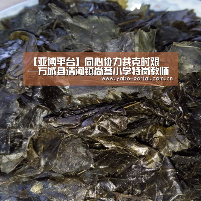 【亚博平台】同心协力共克时艰——方城县清河镇尚营小学特岗教师耿保田(图3) 亚博体育