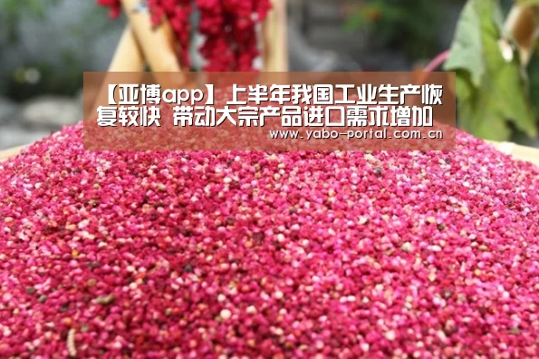 【亚博app】上半年我国工业生产恢复较快 带动大宗产品进口需求增加(图2) 亚博体育