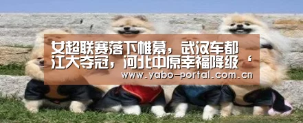 女超联赛落下帷幕，武汉车都江大夺冠，河北中原幸福降级‘亚博体育’