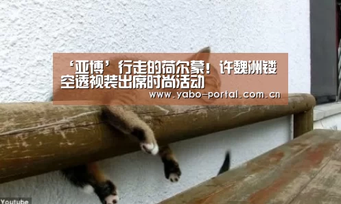 ‘亚博’行走的荷尔蒙！许魏洲镂空透视装出席时尚活动