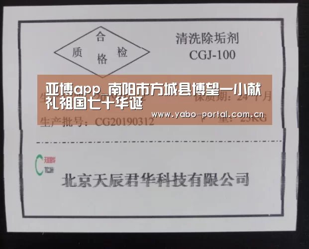 亚博app_南阳市方城县博望一小献礼祖国七十华诞(图3) 亚博app